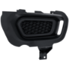 Picture of Fog Light Cover