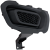 Picture of Fog Light Cover