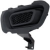 Picture of Fog Light Cover
