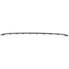 Picture of Bumper Trim
