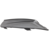 Picture of Fog Light Cover