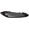 Picture of Fog Light Cover