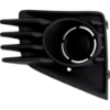Picture of Fog Light Cover