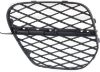 Picture of Bumper Grille