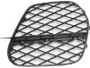 Picture of Bumper Grille