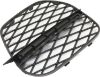 Picture of Bumper Grille