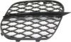 Picture of Bumper Grille