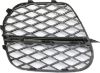 Picture of Bumper Grille