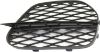 Picture of Bumper Grille