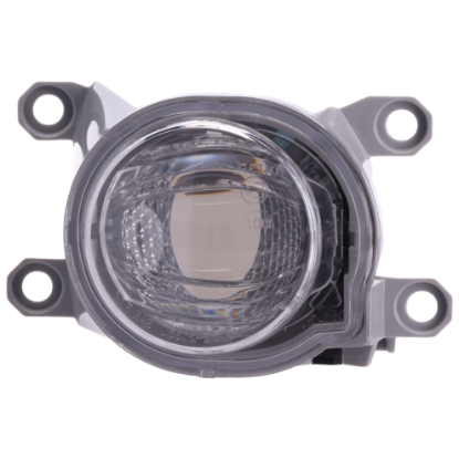 Picture of Fog Light