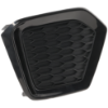 Picture of Bumper Grille