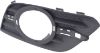 Picture of Fog Light Trim