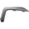 Picture of Grille Trim