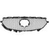 Picture of Grille Assembly