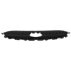 Picture of Grille Assembly