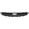Picture of Grille Assembly