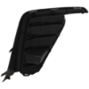 Picture of Fog Light Cover