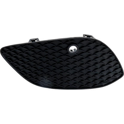Picture of Bumper Grille