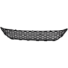 Picture of Bumper Grille