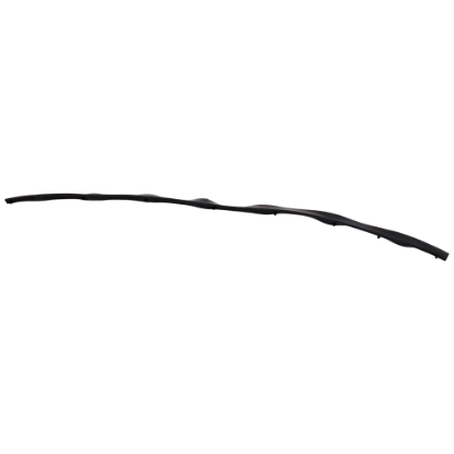 Picture of Weatherstrip Seal