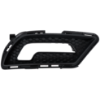 Picture of Fog Light Trim