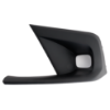 Picture of Fog Light Trim