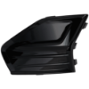 Picture of Fog Light Cover