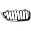 Picture of Grille Assembly