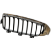 Picture of Grille Assembly