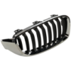Picture of Grille Assembly