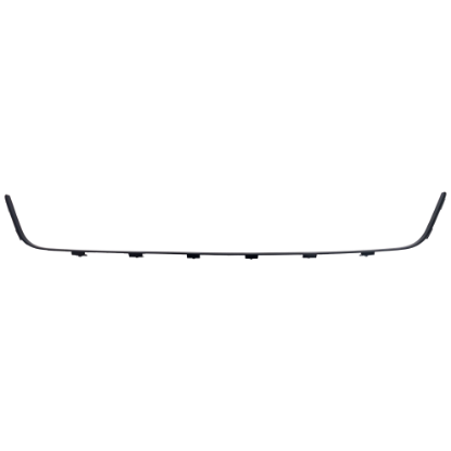 Picture of Grille Trim