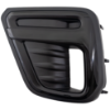 Picture of Fog Light Cover
