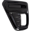 Picture of Fog Light Cover