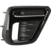 Picture of Fog Light Cover