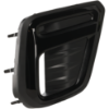 Picture of Fog Light Cover