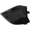 Picture of Fog Light Cover