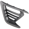 Picture of Bumper Grille