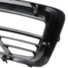 Picture of Bumper Grille