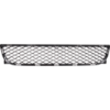 Picture of Bumper Grille
