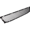 Picture of Bumper Grille