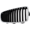 Picture of Grille Assembly