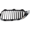 Picture of Grille Assembly
