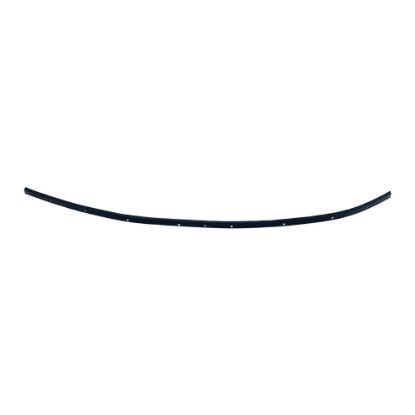 Picture of Weatherstrip Seal