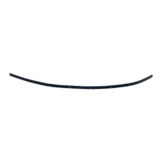 Picture of Weatherstrip Seal