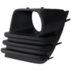 Picture of Fog Light Trim