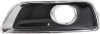 Picture of Fog Light Trim
