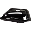 Picture of Bumper Grille