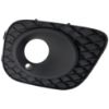 Picture of Fog Light Trim