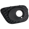 Picture of Fog Light Trim
