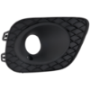 Picture of Fog Light Trim